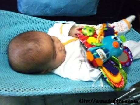 Learning Curve Toy,Lamaze Toy,Jacque the Peacock