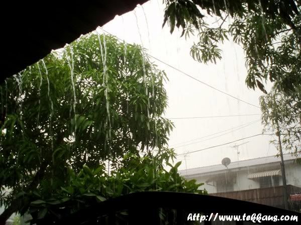 Rain 3