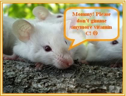 Tekkaus-Mice-Vitaminc.jpg