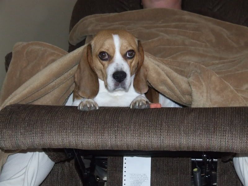 Emma Bean Rest In Peace