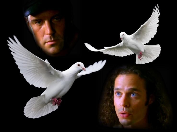 peace1