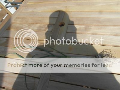 7e1070e4-071a-4b38-ba2d-bbd4e2bdcf9b.jpg?t=1399301009