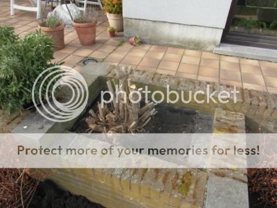 SAM_1850.jpg?t=1395156031