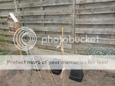 SAM_1975.jpg?t=1397674566