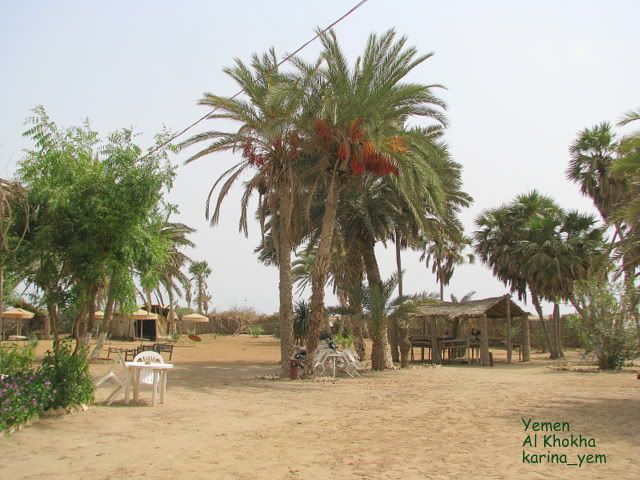 Yemen, Khokha