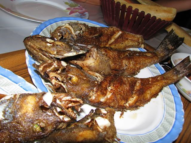 Yemen, Khokha