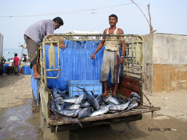 Yemen, Йемен, дер. Хоха