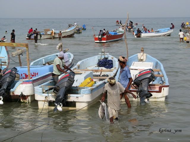 Yemen, Йемен, дер. Хоха