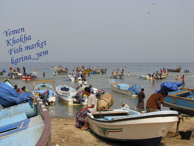 Yemen, Khokha
