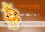 torchic.png