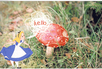 http://i71.photobucket.com/albums/i138/miyazakihiromi/alllllice.gif