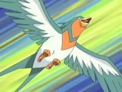 [PokeCommunity.com] ~* Bird Pokemon Fan Club *~