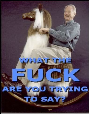 https://i71.photobucket.com/albums/i143/christurner85/wtf-are-you-saying.jpg
