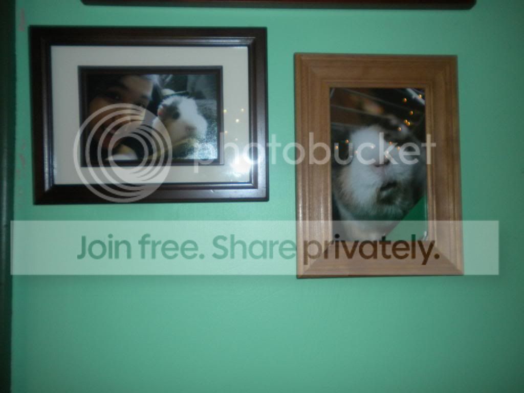 GilbertinmyRoom1.jpg