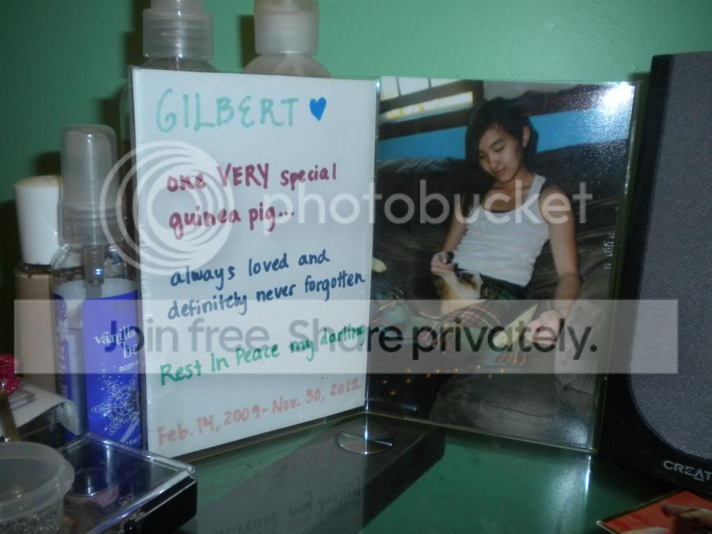 GilbertinmyRoom2.jpg