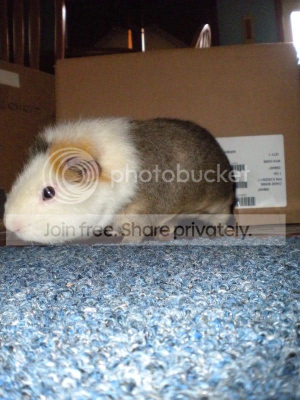 MayPictures024.jpg