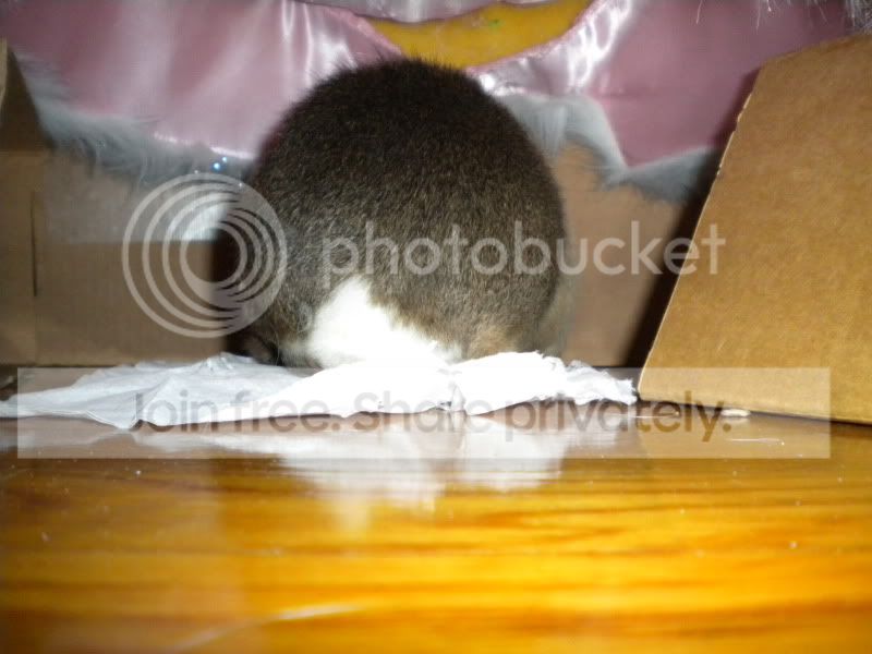 MayPictures055.jpg