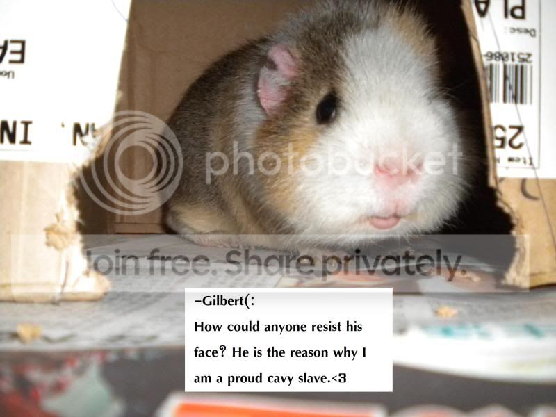 Sig.jpg