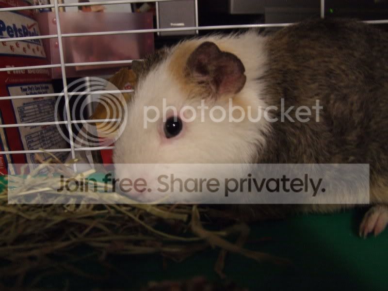 tobyandgilbert065.jpg