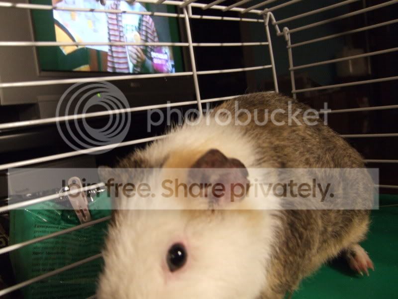tobyandgilbert067.jpg