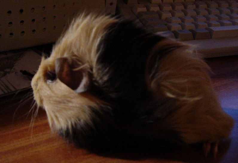 2004-03-0219-20GPcomputer.jpg