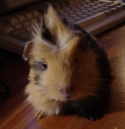 2004-03-0219-20GPcomputer2.jpg