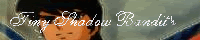 Tiny Shadow Bandit's banner