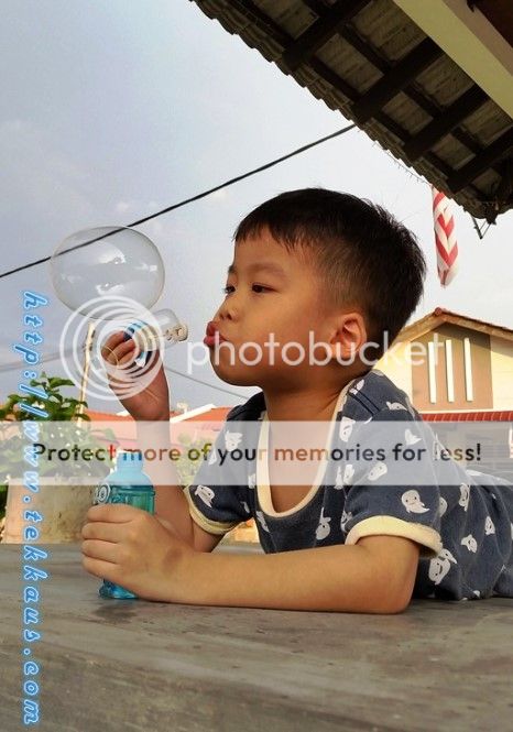  photo 12 Playing With Bubbles PICS_zps4tmgecuj.jpg